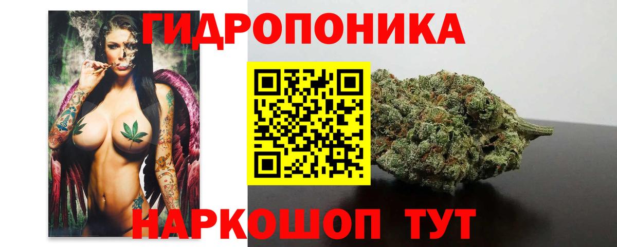 Каннабис гибрид  Бошки Шишки тримм  Вход с VPN  Кировск  Шишки марихуана Bruce Banner 